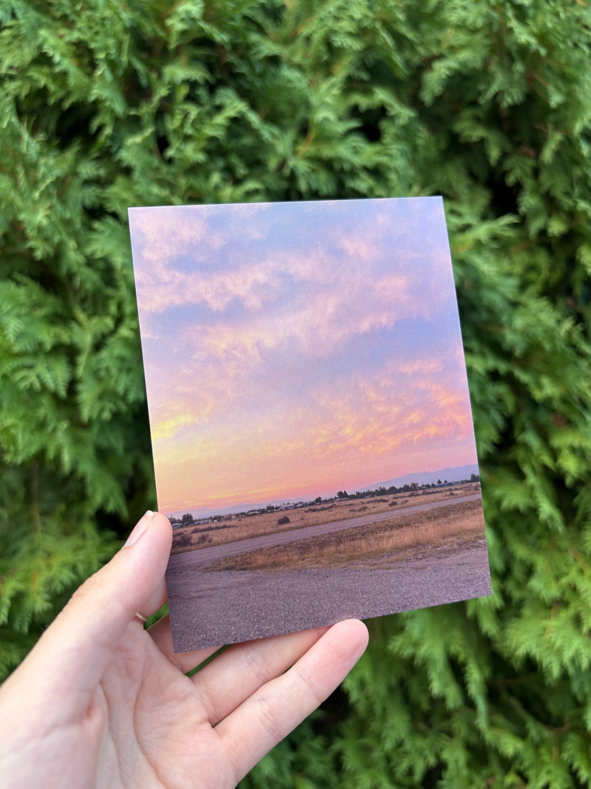 Sunrise in Montana Postcard