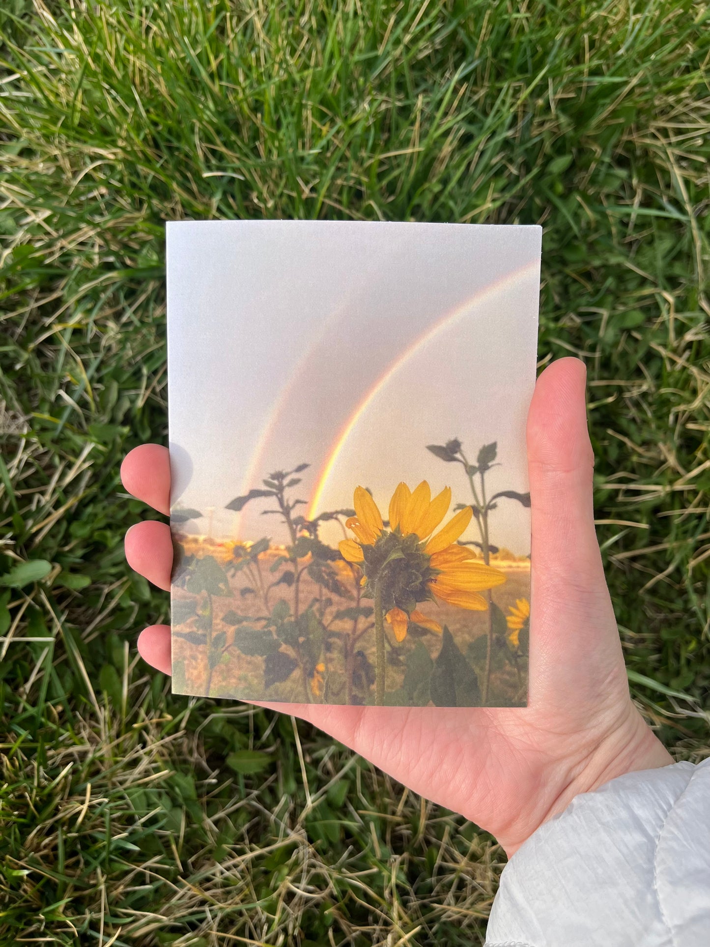 Double Rainbow Sunflower Photography Card