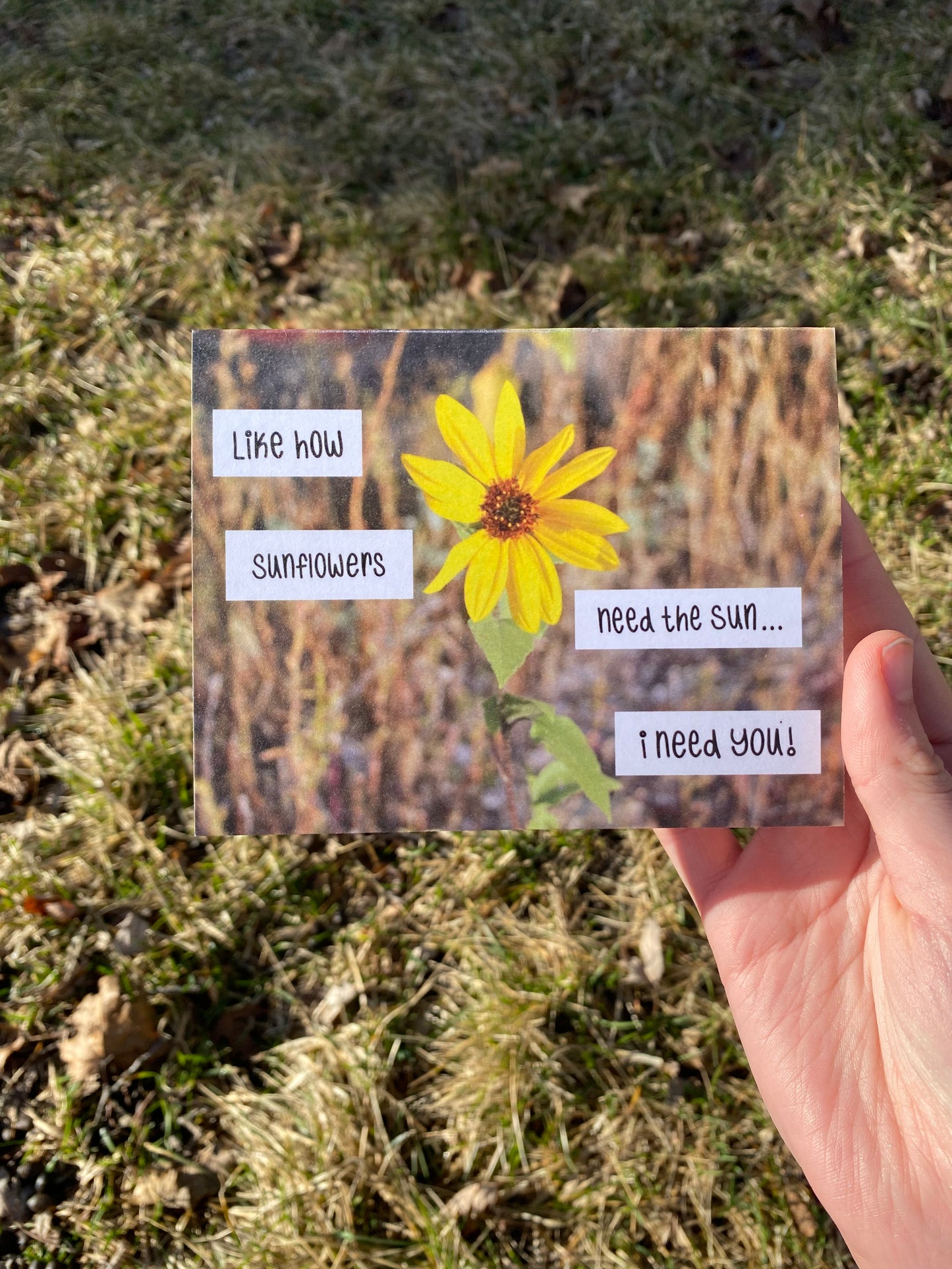 Sunflowers Friendship/Appreciation Greeting Card