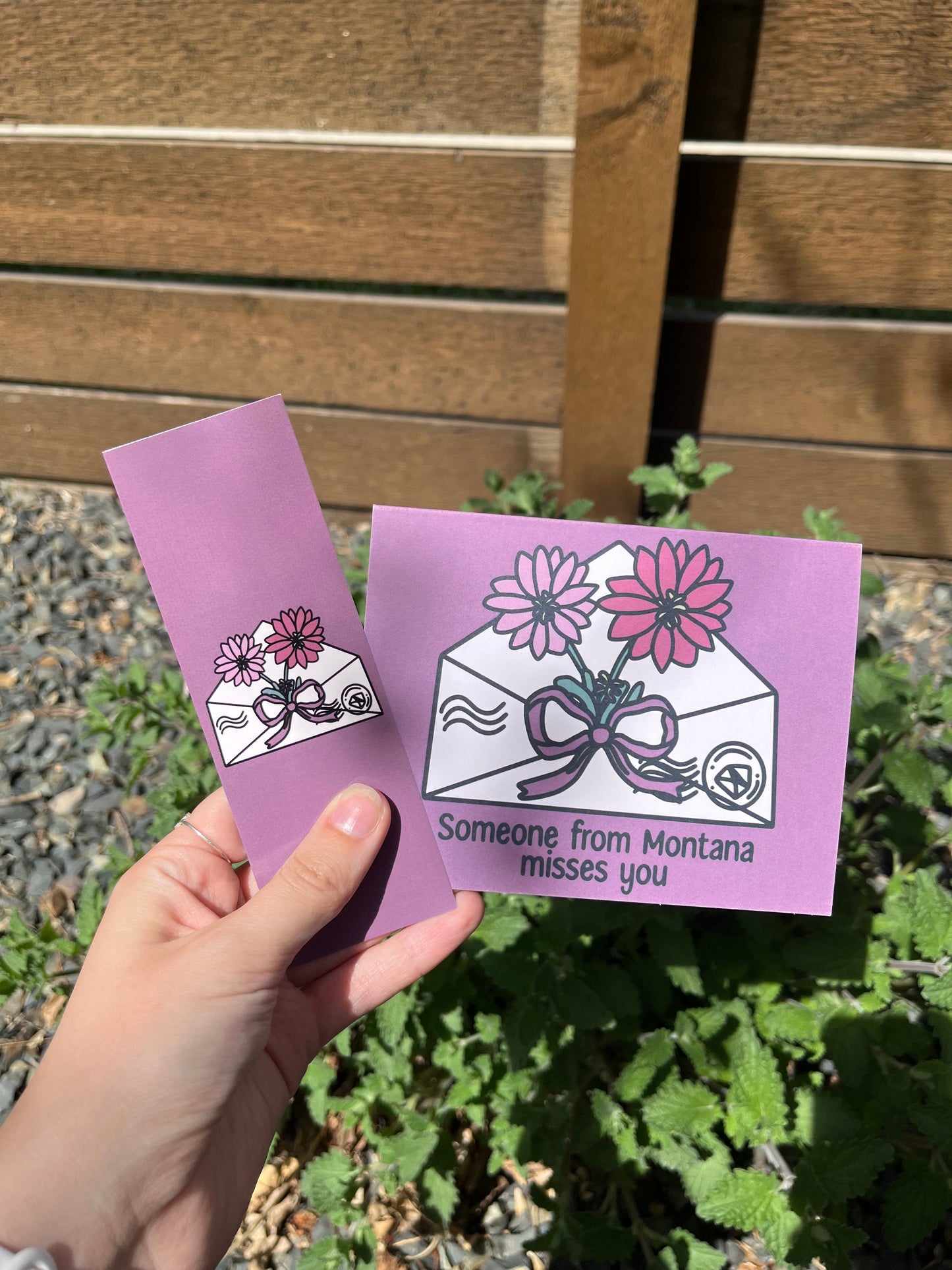 Someone From Montana Misses You Bitterroot Flower Card/Postcard