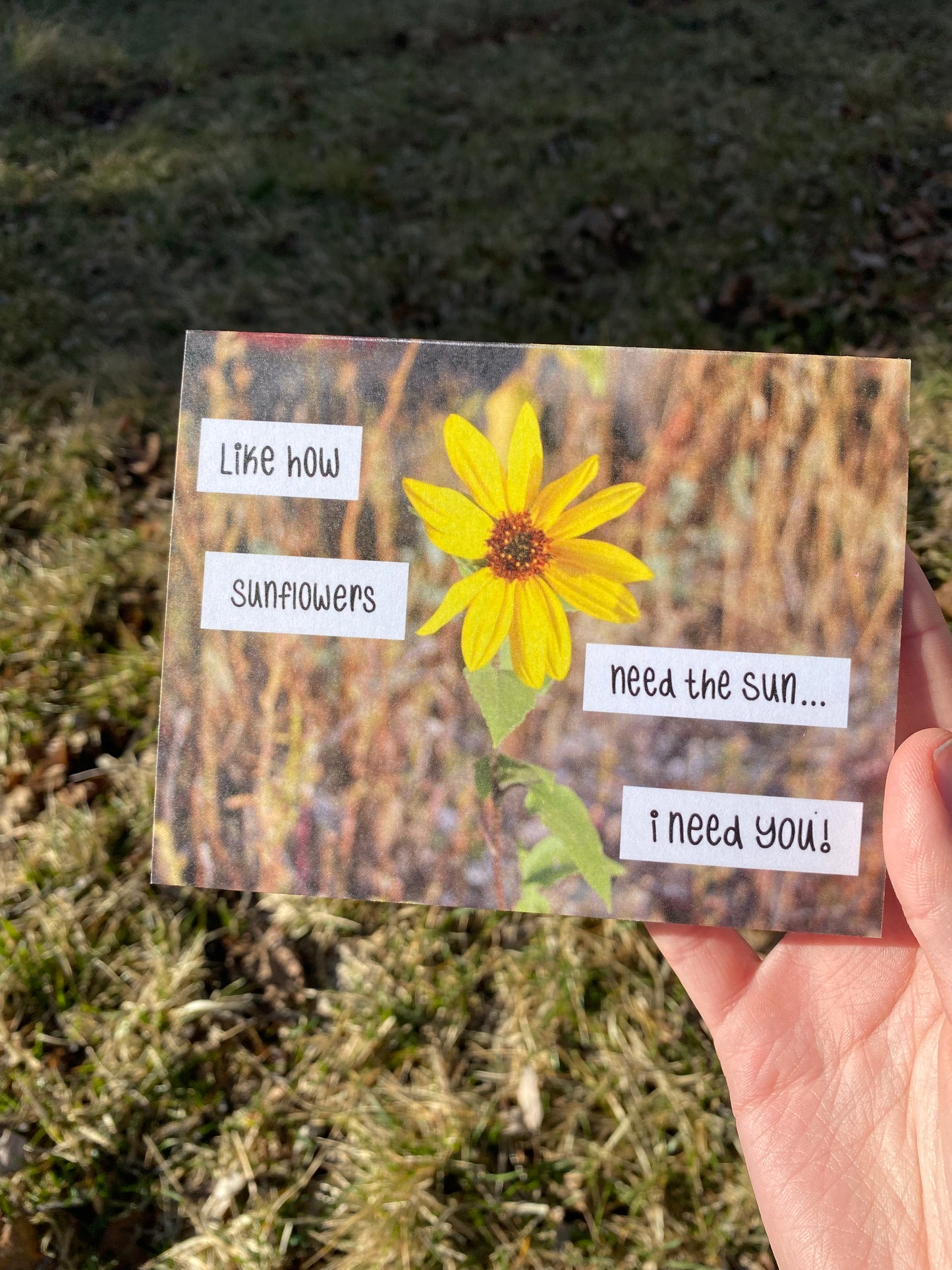 Sunflower Postage Stamp Inspired Postcard