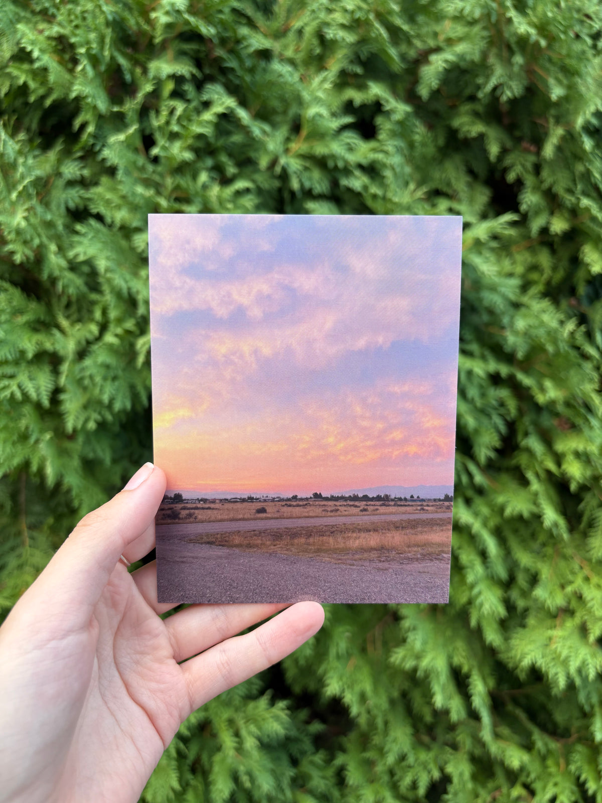 Sunrise in Montana Postcard