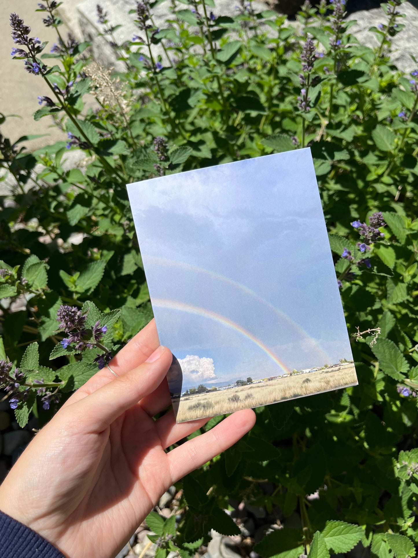 Double Rainbow Photography Card