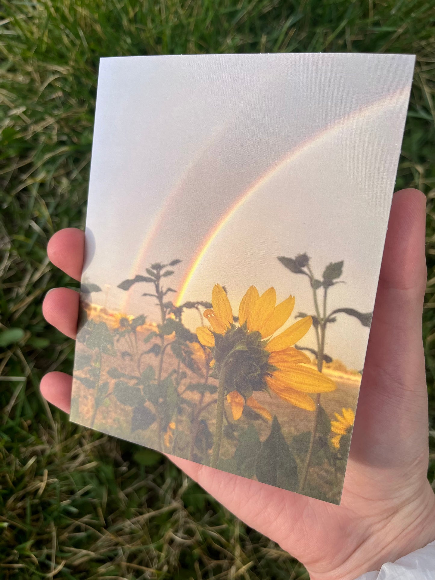 Double Rainbow Sunflower Photography Card