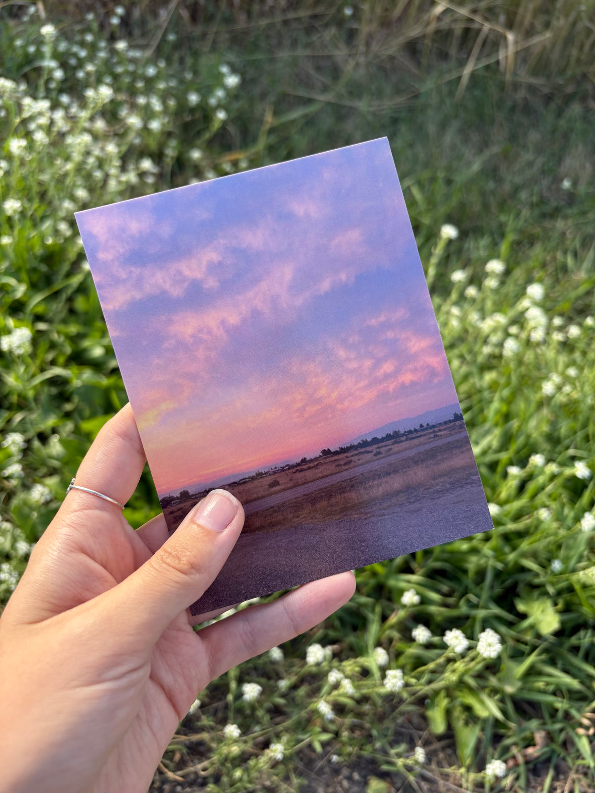 Sunrise in Montana Postcard