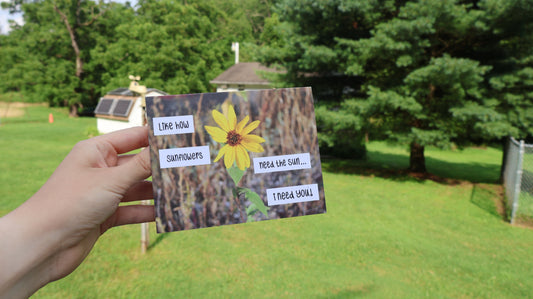 Sunflowers Friendship/Appreciation Greeting Card