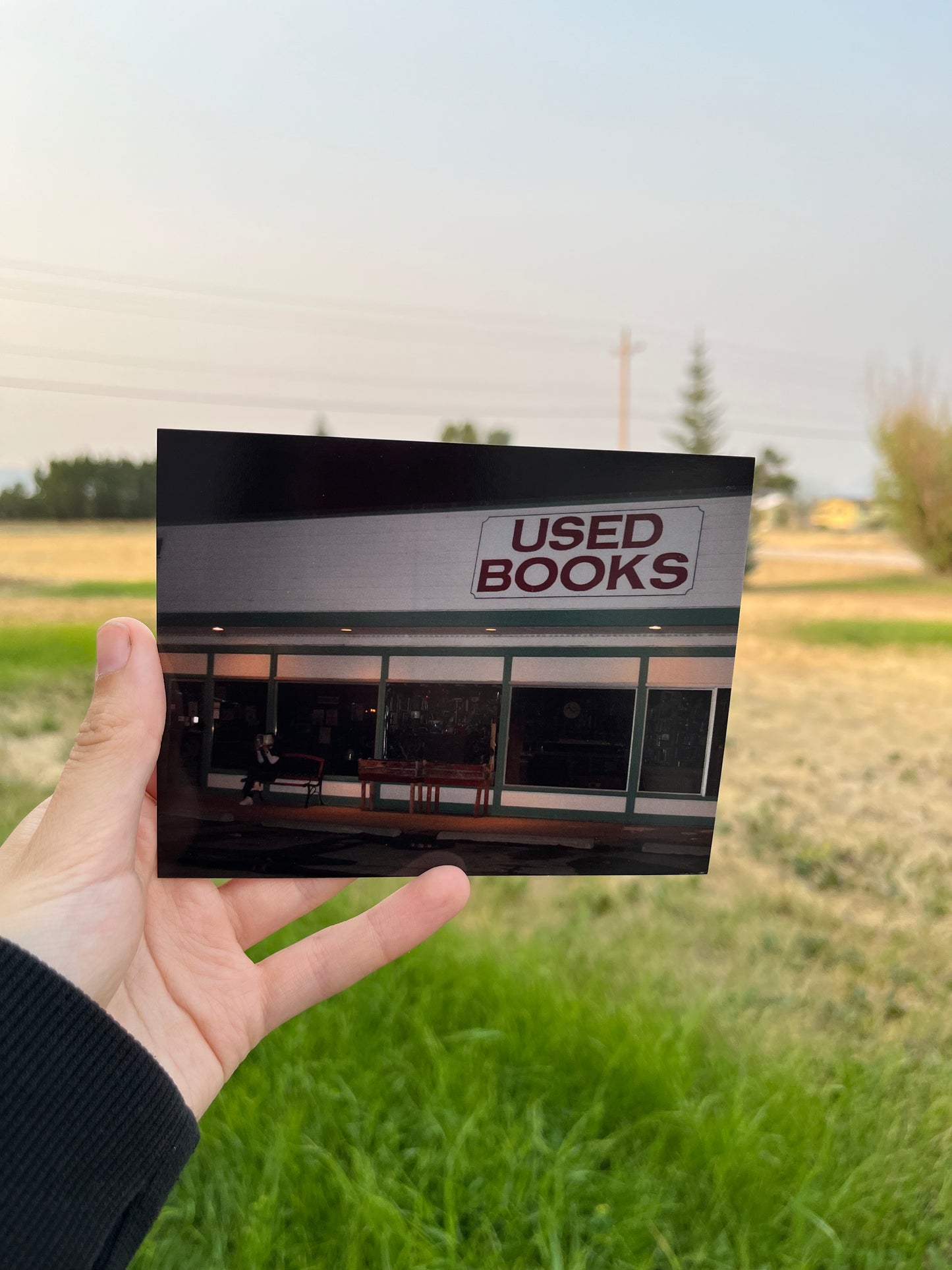 Used Books Reading Postcard