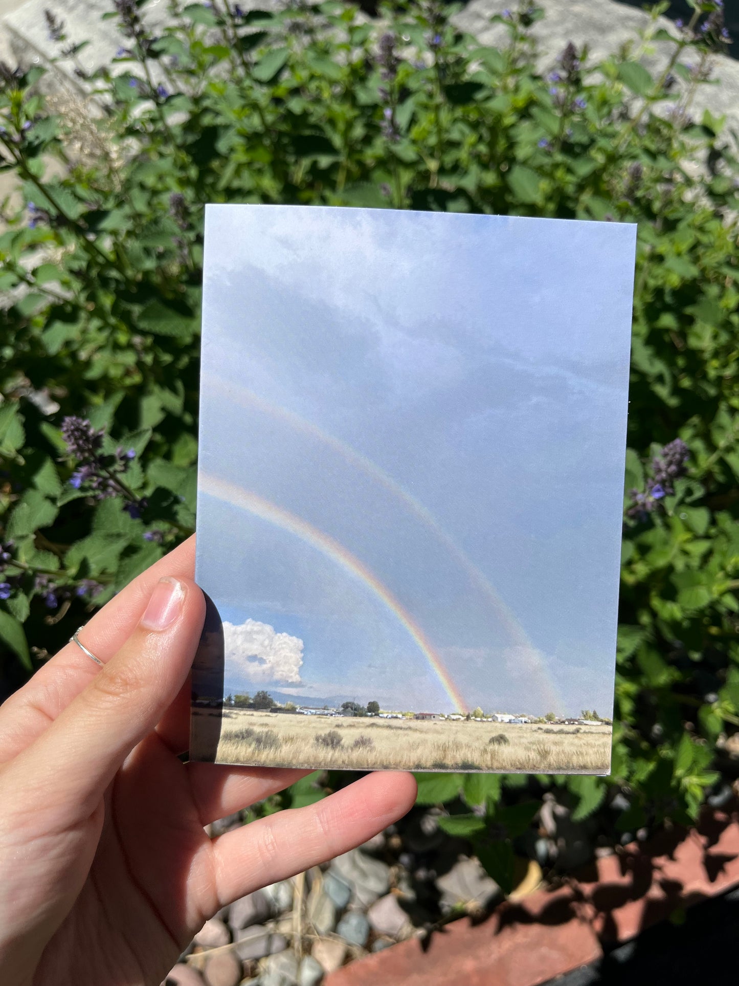 Double Rainbow Photography Card