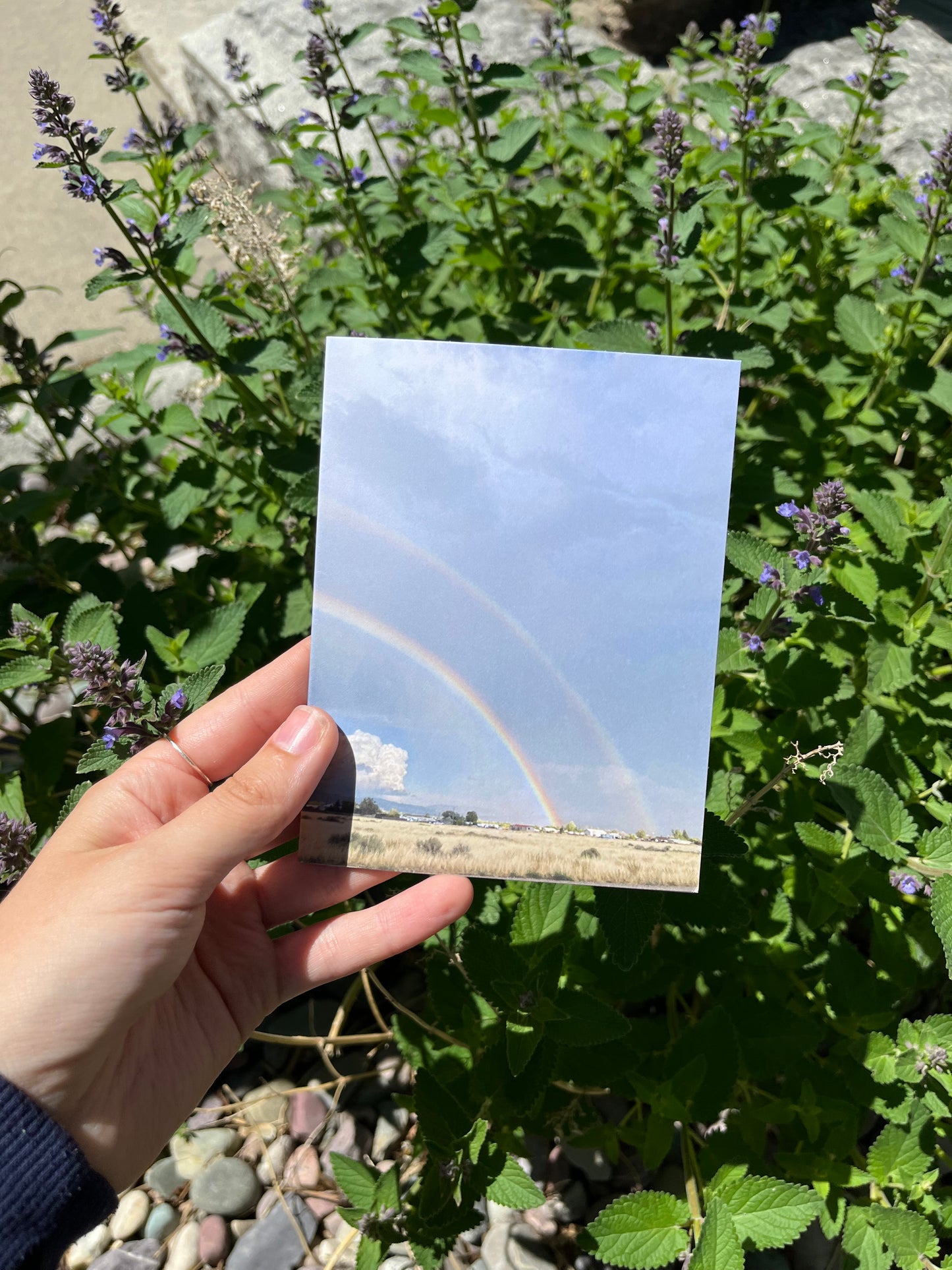 Double Rainbow Photography Card