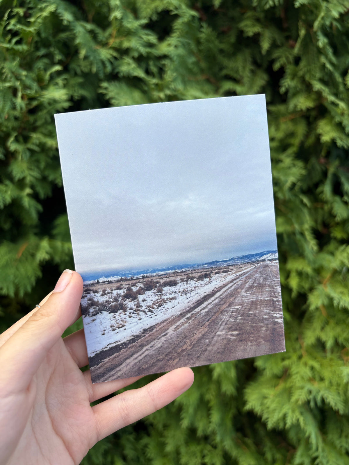 Wintery Montana View Card
