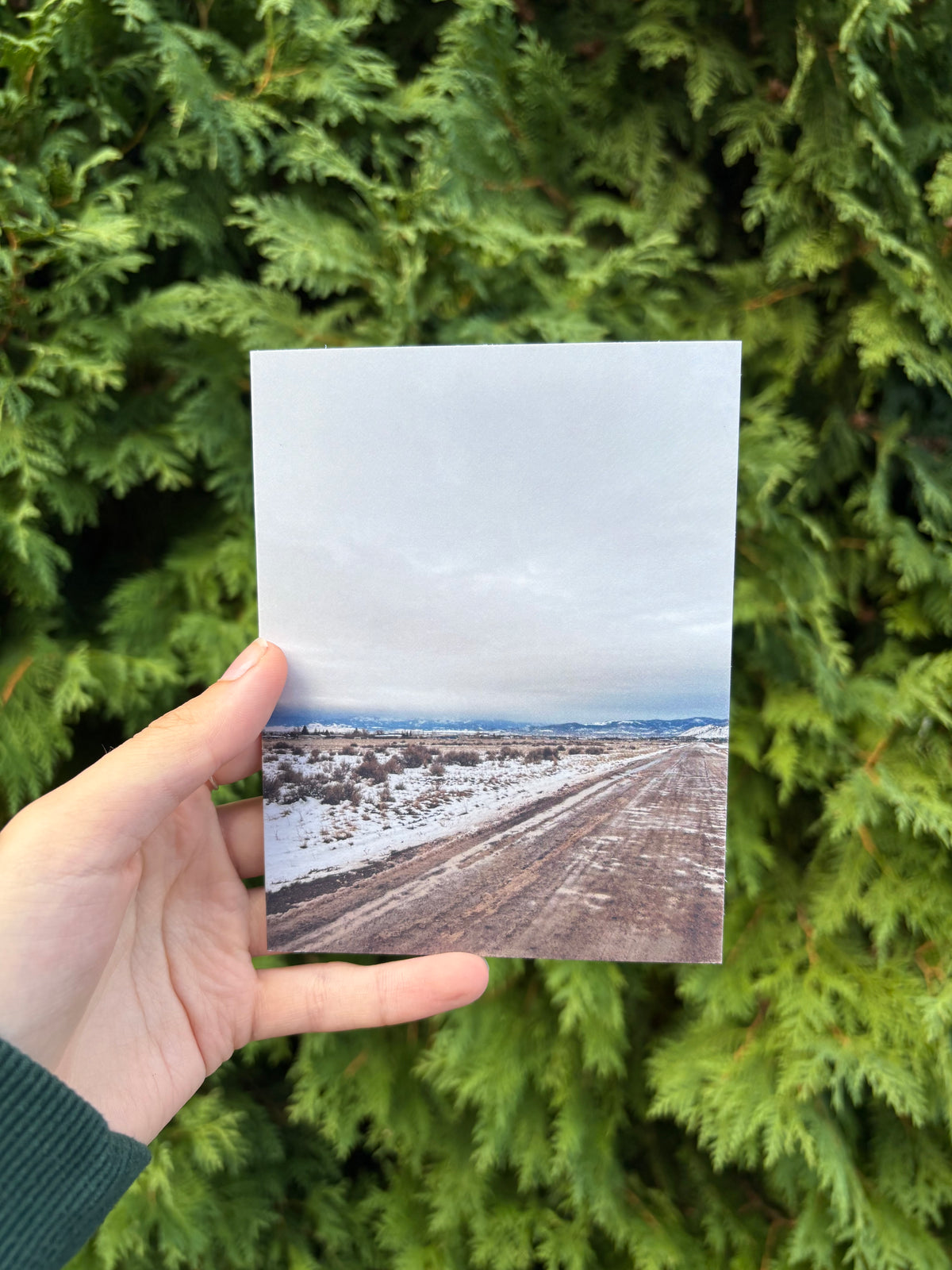 Wintery Montana View Card