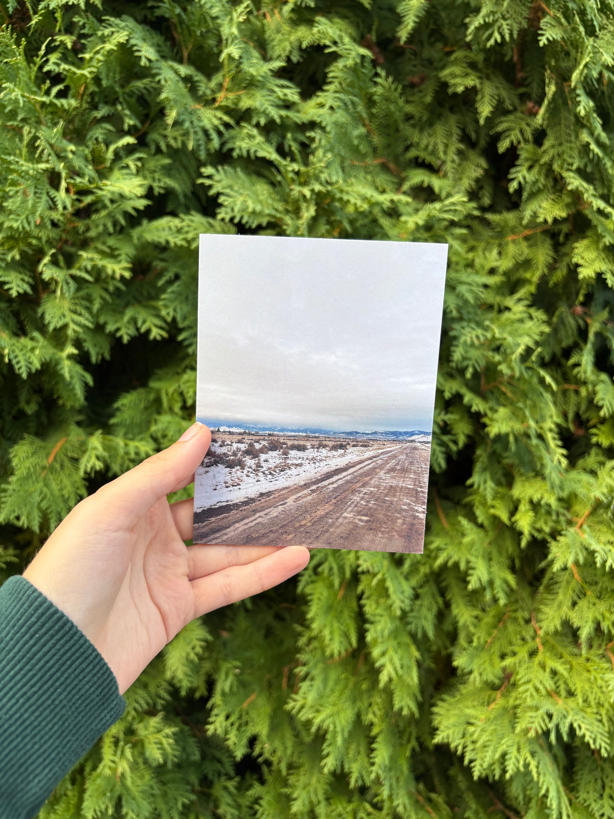 Wintery Montana View Card