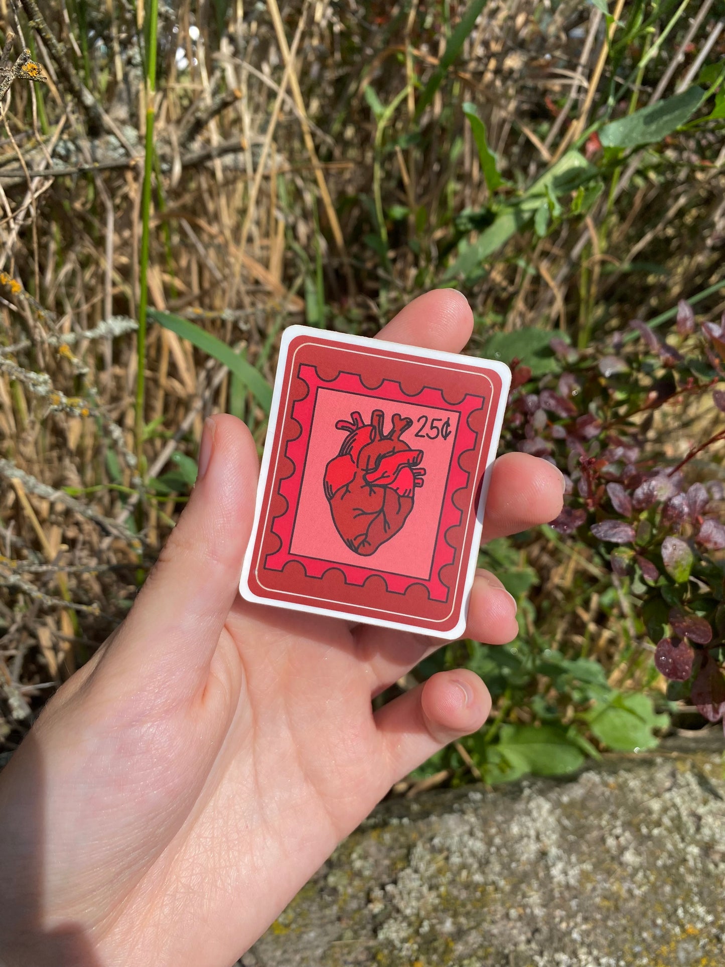 Anatomical Heart Postage Stamp Design Adhesive Sticker