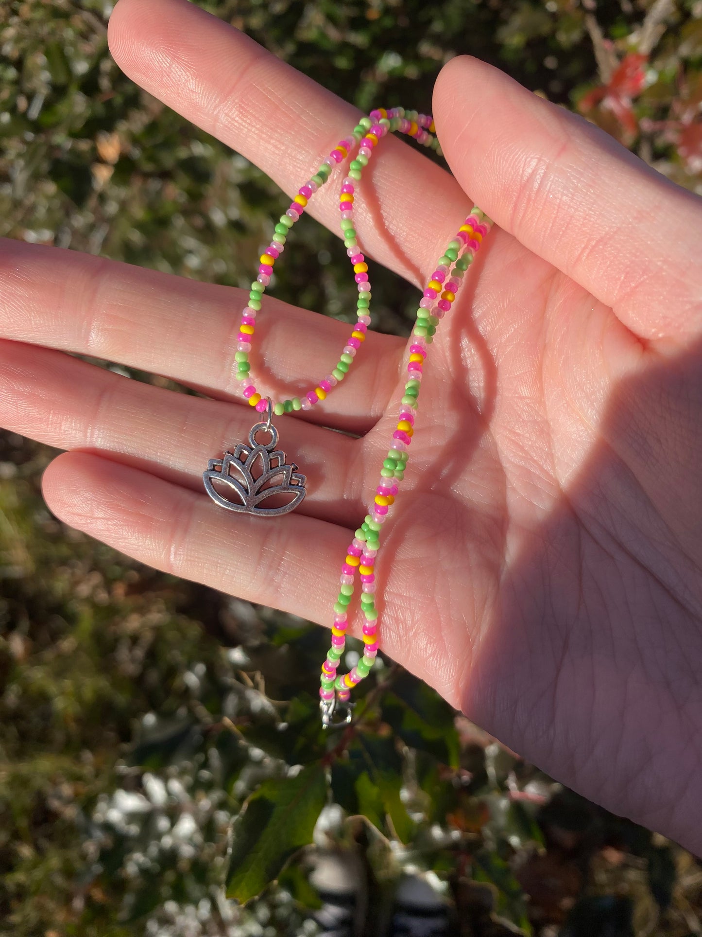 Waterlily/Lotus Floral Photography Postcard