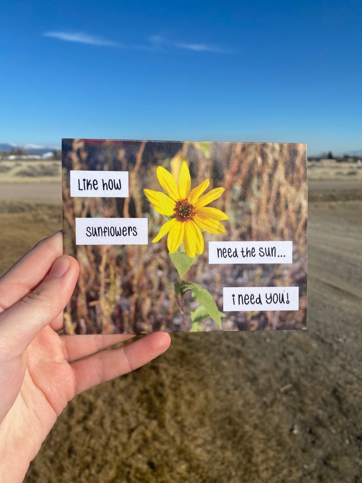 Sunflowers Friendship/Appreciation Greeting Card