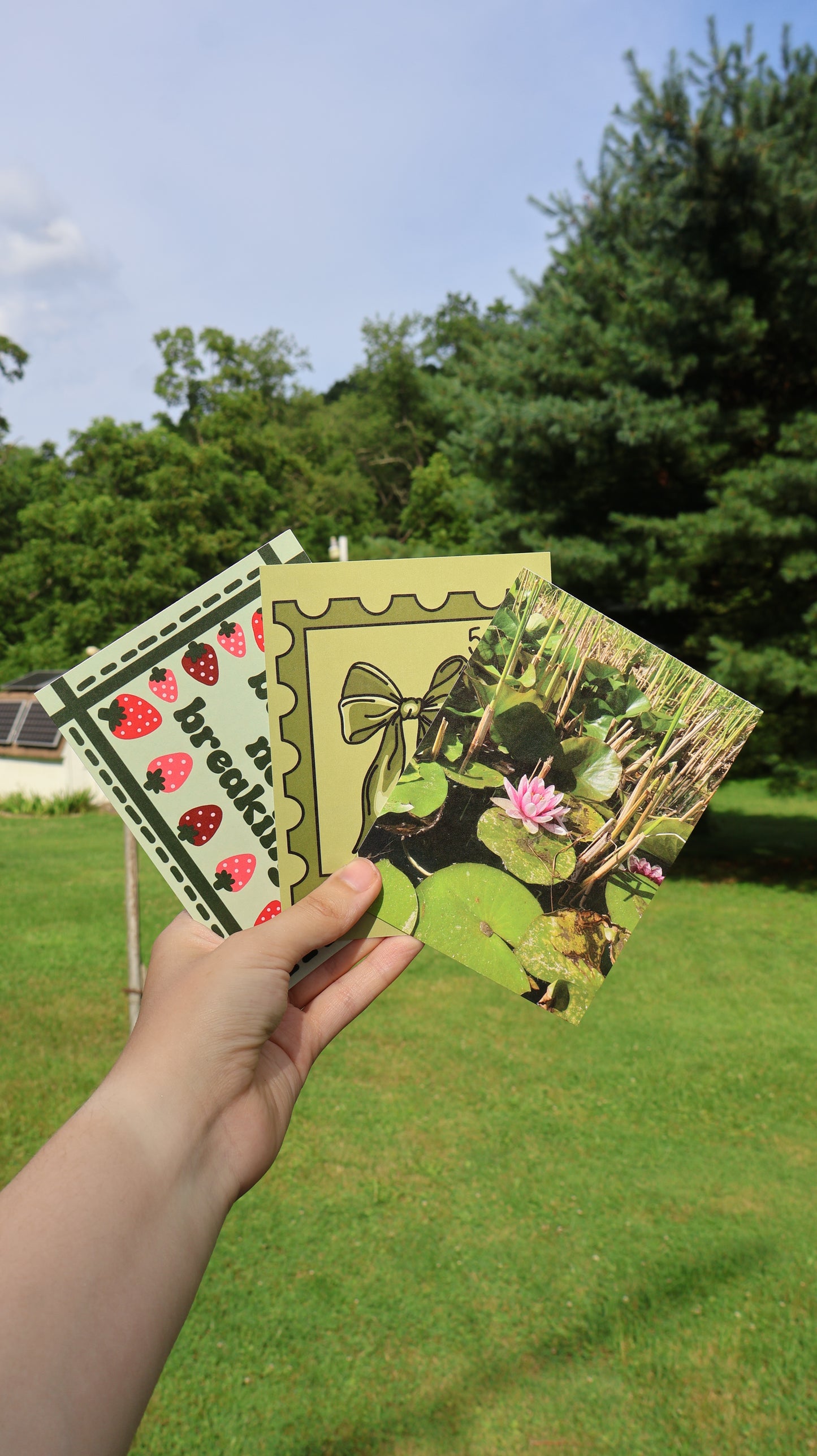 Waterlily/Lotus Floral Photography Postcard