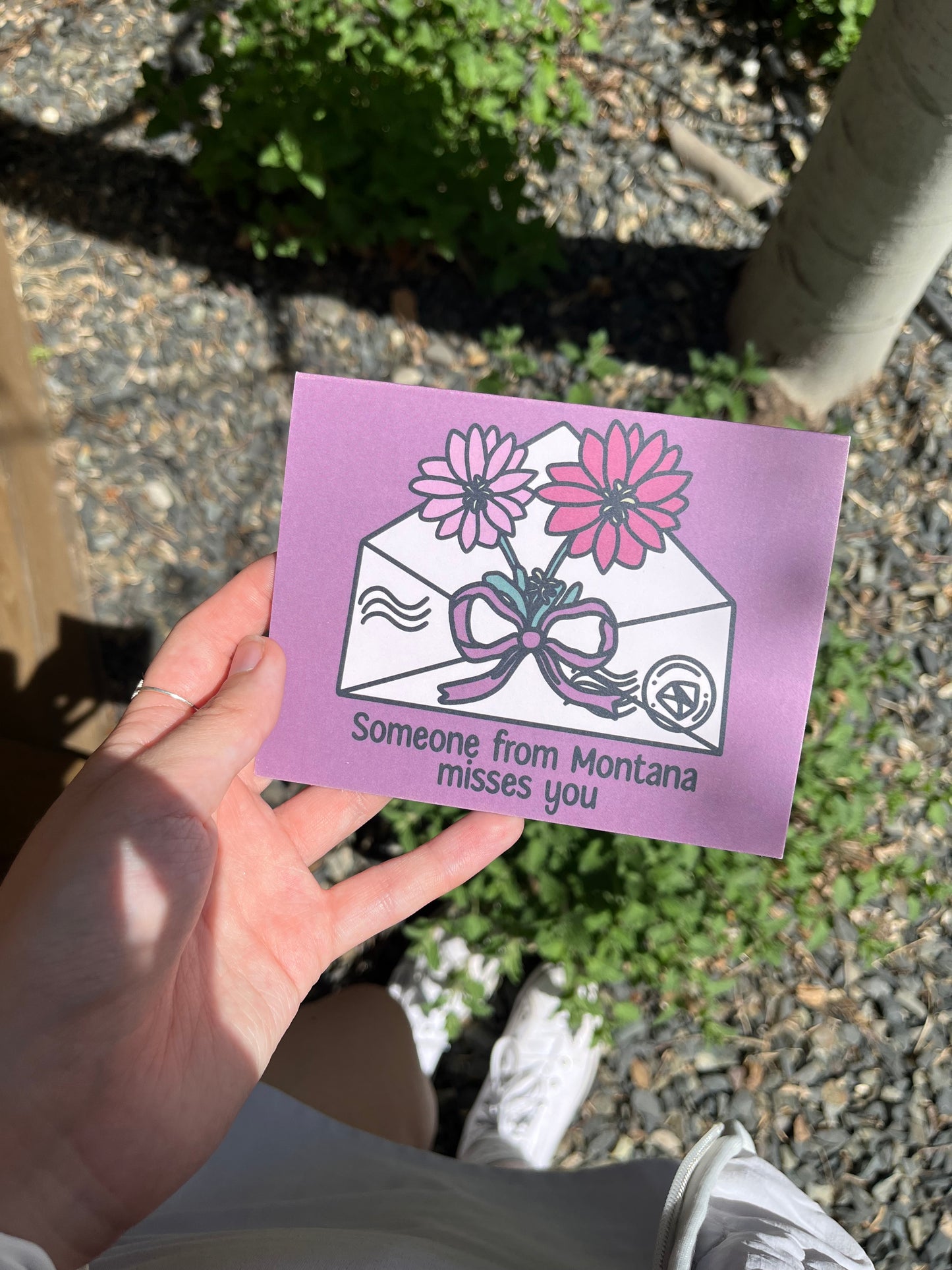 Someone From Montana Misses You Bitterroot Flower Card/Postcard